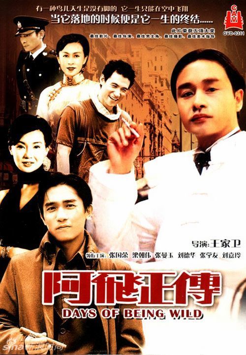 安东尼奥·内夫里哈大学公共管理文凭证书